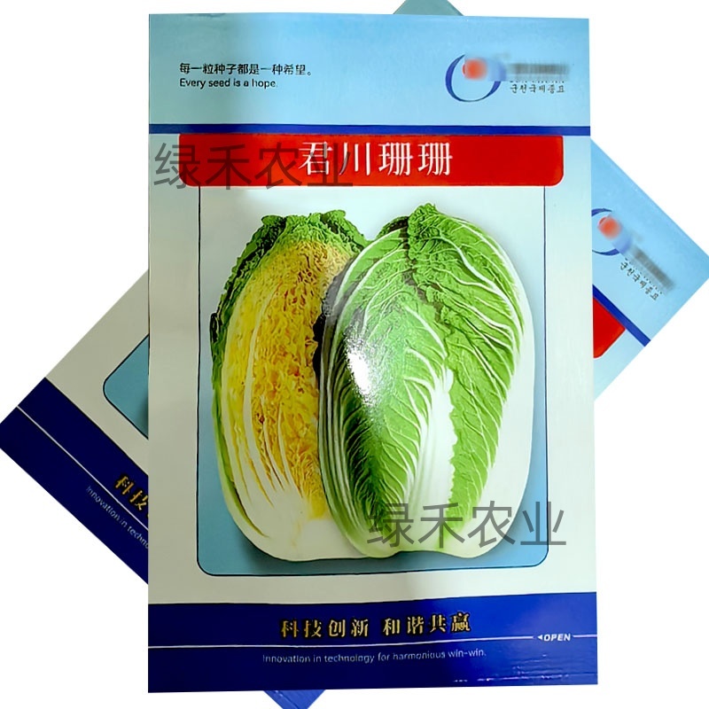 黄心白菜种子君川珊珊白菜种籽春季基地种植大白菜种