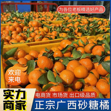 广西砂糖橘（承接电商商超市场外贸出口）全国发货