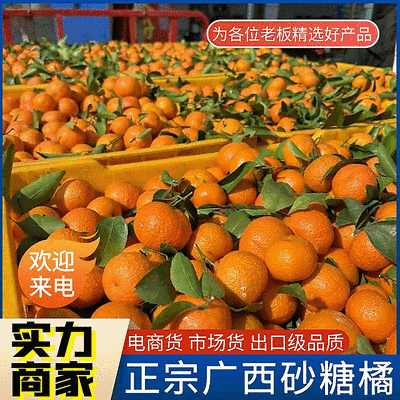 广西砂糖橘（承接电商商超市场外贸出口）全国发货
