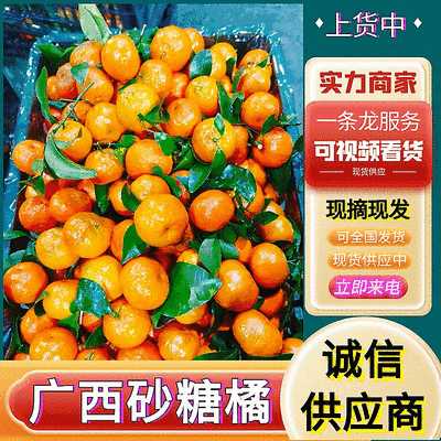 《精选》广西砂糖橘/老沙/产地直发/供市场商超电商