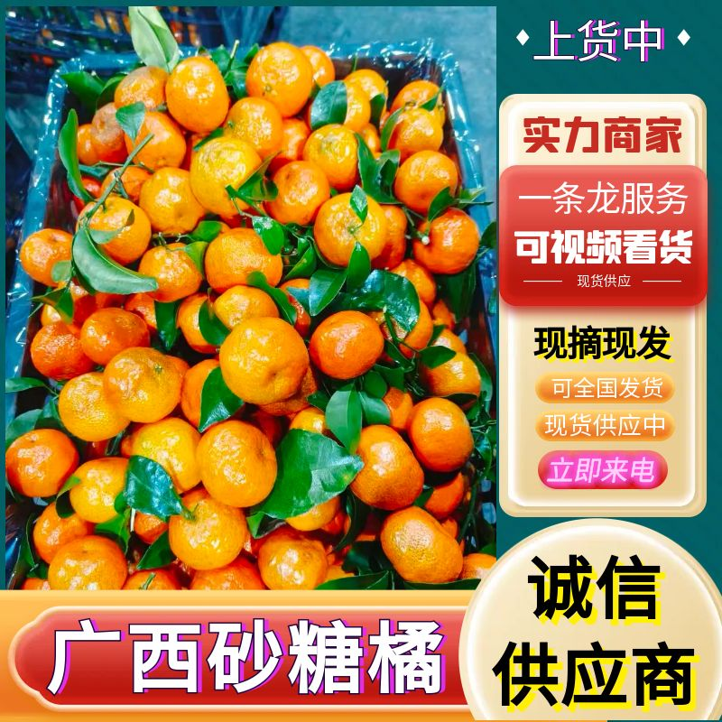 《精选》广西砂糖橘/老沙/产地直发/供市场商超电商