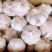 精品紫皮大蒜河南大蒜种植基地直发品质保障欢迎电联