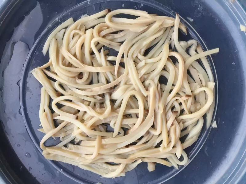 盐渍杏鲍菇切丝，批发餐饮/罐头厂专用