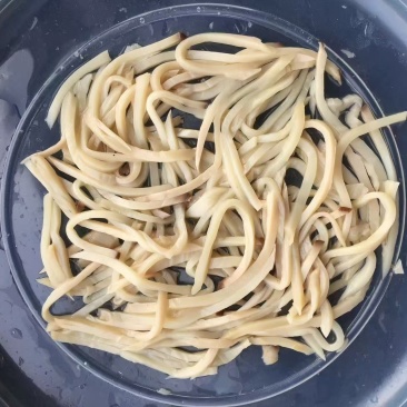 盐渍杏鲍菇切丝,批发餐饮/罐头厂专用