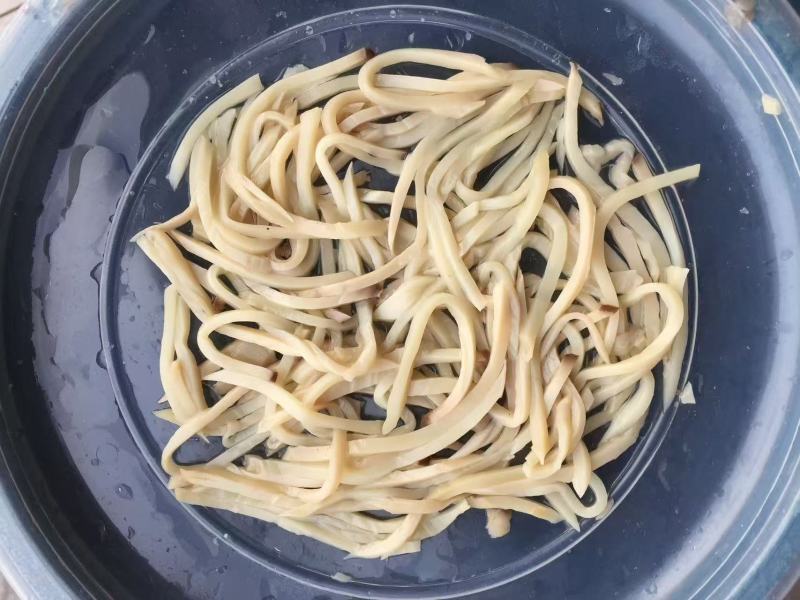 盐渍杏鲍菇切丝，批发餐饮/罐头厂专用