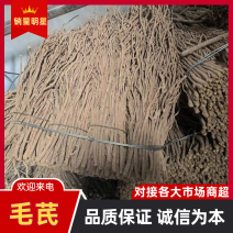 黄芪毛芪产地供应量大从优质量保证诚信经营欢迎咨询