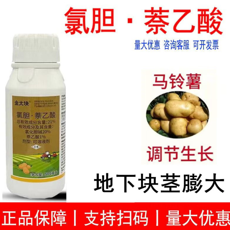 金大块氯胆萘乙酸氯化胆碱萘乙酸土豆调节生长地下作物块茎膨