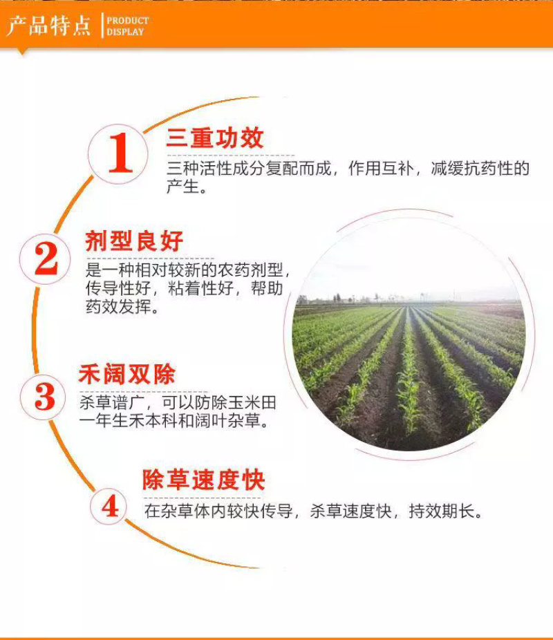 玉米苗后除草剂硝磺烟嘧莠去津禾阔双除一年生杂草三元复配农