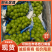 阳光玫瑰货源稳定对接市场电商商超社区团购,欢迎联系