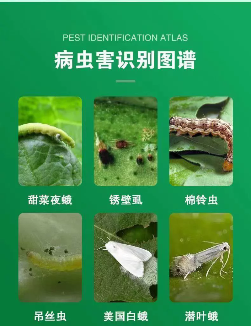噻虫嗪悬浮剂杀虫剂水稻稻飞虱噻虫嗪农药第二代烟碱杀虫剂高