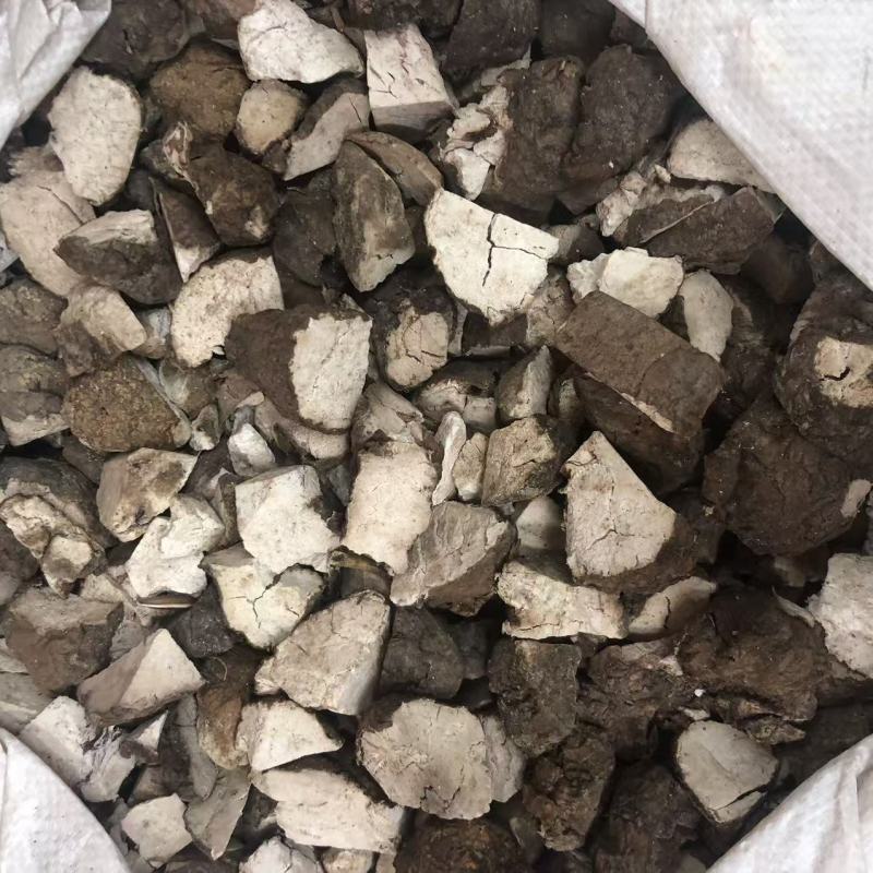 带皮茯苓带皮茯苓块带皮茯苓丁茯神带皮块批发代发
