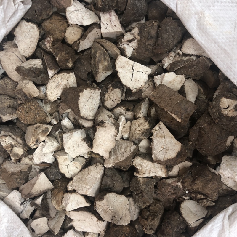 带皮茯苓带皮茯苓块带皮茯苓丁茯神带皮块批发代发