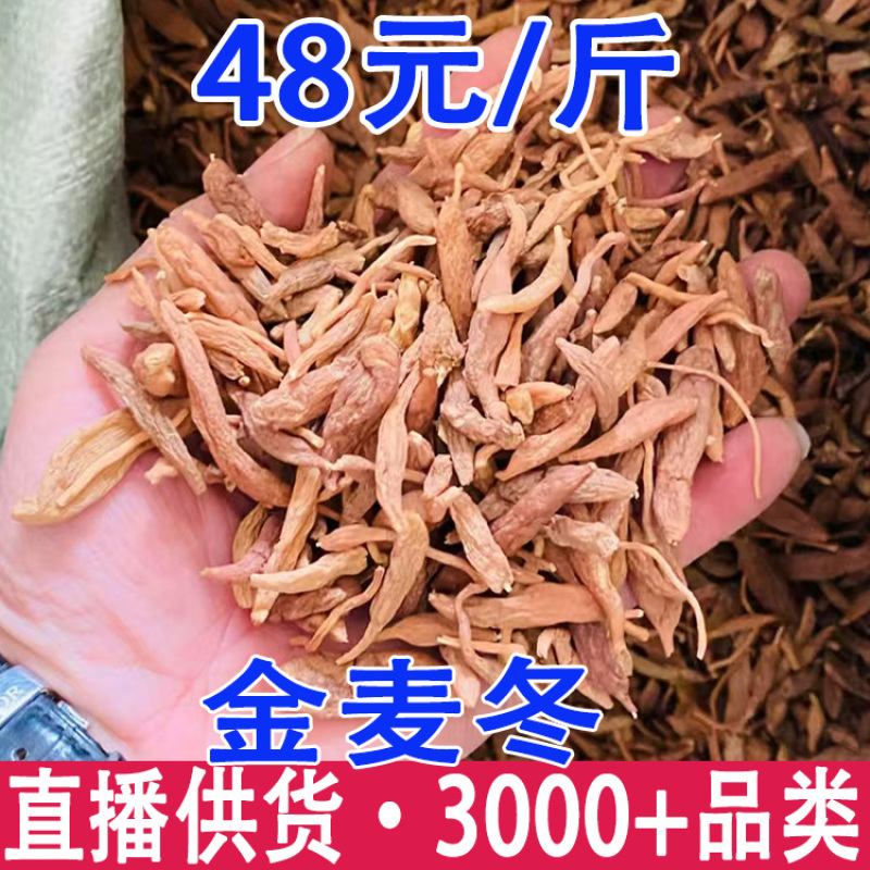 金麦冬红麦冬金麦冬批发红麦冬批发代发