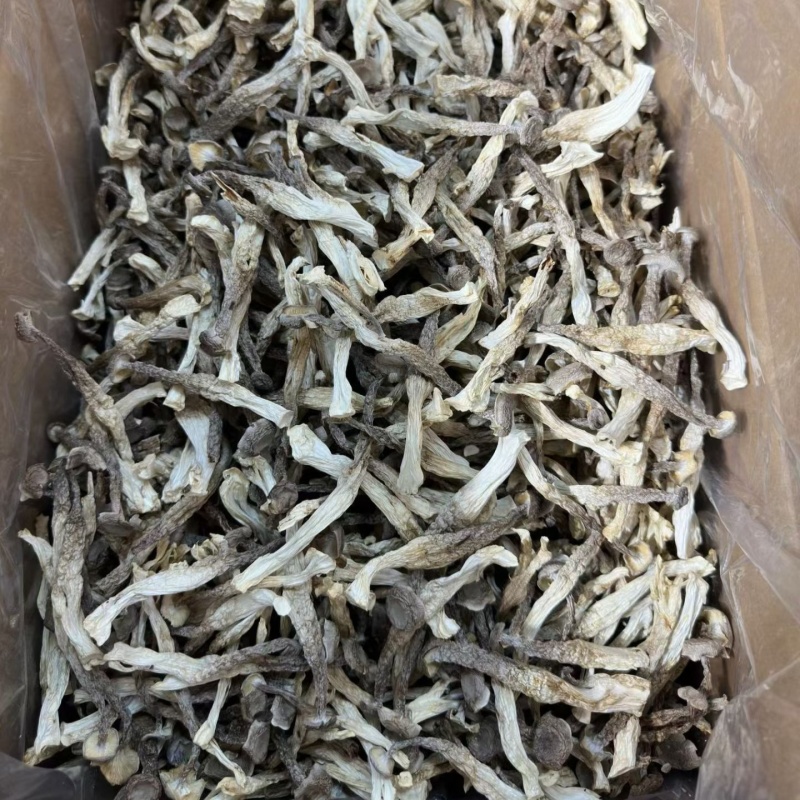 鹿茸菇干货鹿茸菌嫩仔鹿茸菇商用批发鹿茸菇电商款鹿