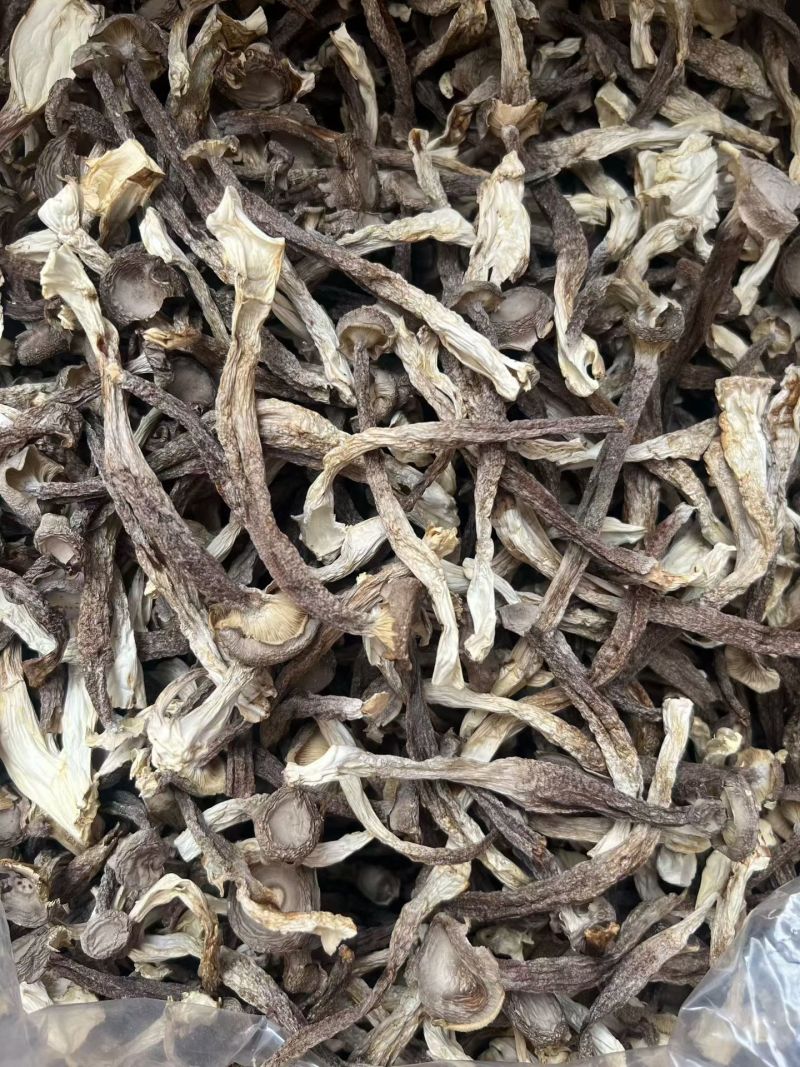 鹿茸菇干货鹿茸菌嫩仔鹿茸菇商用批发鹿茸菇电商款鹿