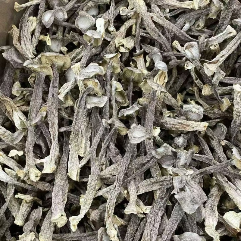 鹿茸菇干货鹿茸菌嫩仔鹿茸菇商用批发鹿茸菇电商款鹿