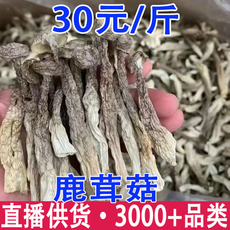鹿茸菇干货鹿茸菌嫩仔鹿茸菇商用批发鹿茸菇电商款鹿