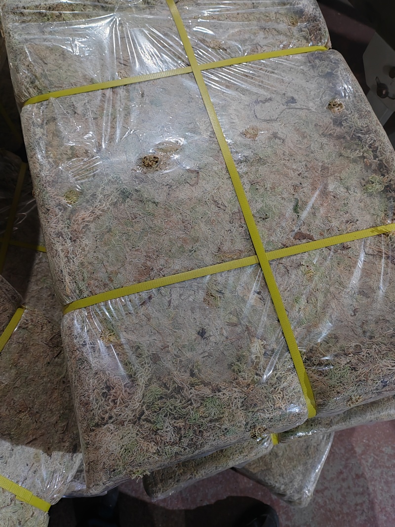 精品水苔品质保证价格优惠产地直发欢迎大家