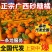 砂糖橘精品沙糖橘桔广西桂林回头客超多对接电商市场
