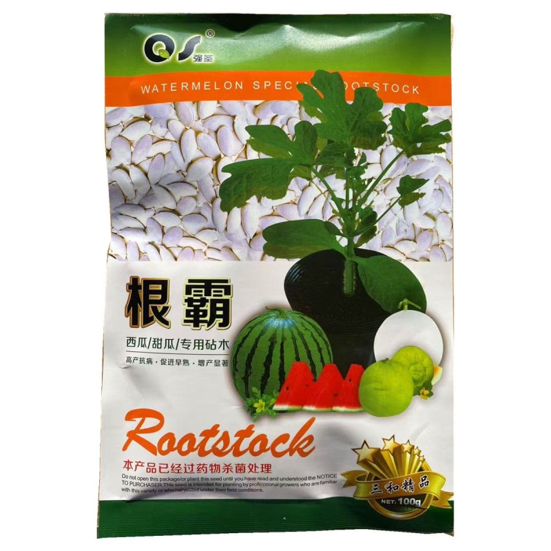 西瓜甜瓜专用砧木种子嫁接白南瓜籽白籽南瓜抗病抗重茬