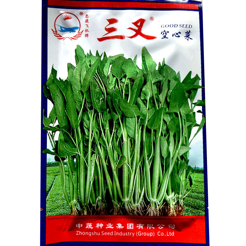 福建三叉空心菜种子30g青梗大叶粗梗叶片绿口感细嫩四季