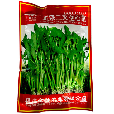 鑫飞机正宗三叉空心菜种子春夏秋季雍菜旱地水田通心菜阳台盆