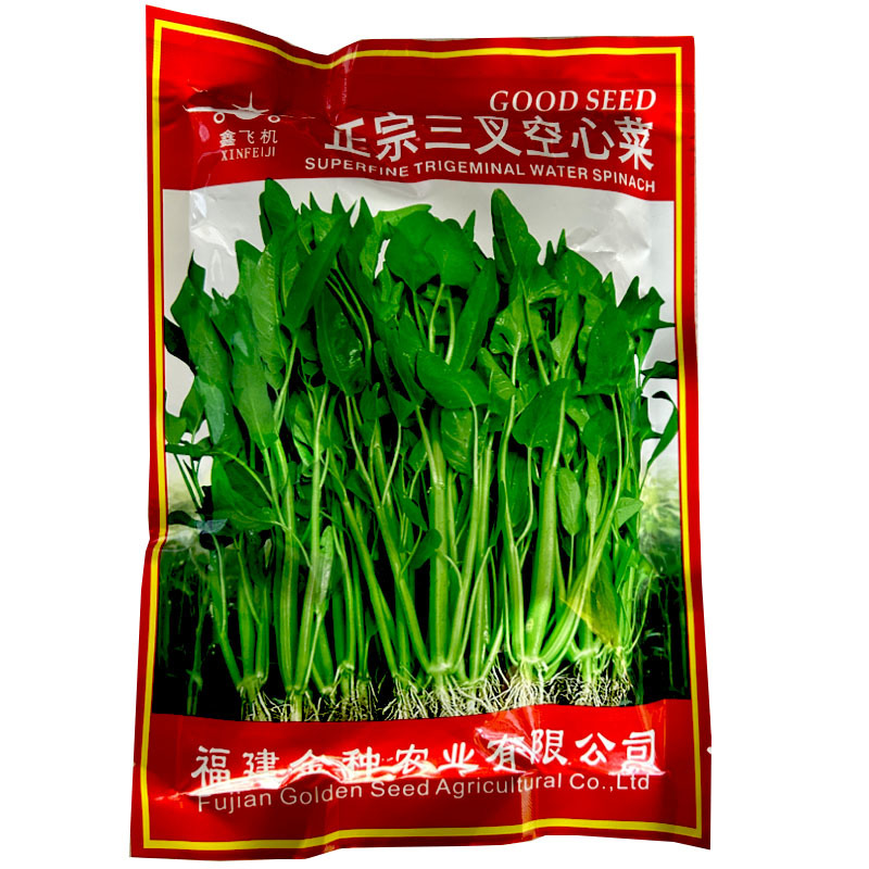 鑫飞机正宗三叉空心菜种子春夏秋季雍菜旱地水田通心菜阳台盆