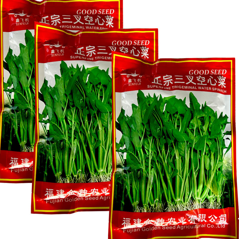 鑫飞机正宗三叉空心菜种子春夏秋季雍菜旱地水田通心菜阳台盆