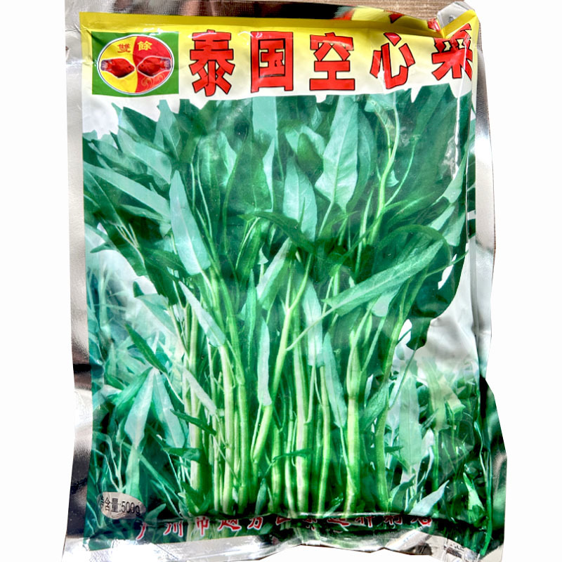 双鱼牌泰国空心菜种子细叶柳叶空心菜种籽茎秆青绿色水培芽苗