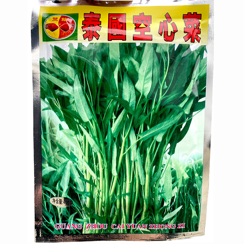 双鱼牌泰国空心菜种子细叶柳叶空心菜种籽茎秆青绿色水培芽苗