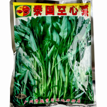 双鱼牌泰国空心菜种子细叶柳叶空心菜种籽茎秆青绿色水培芽苗