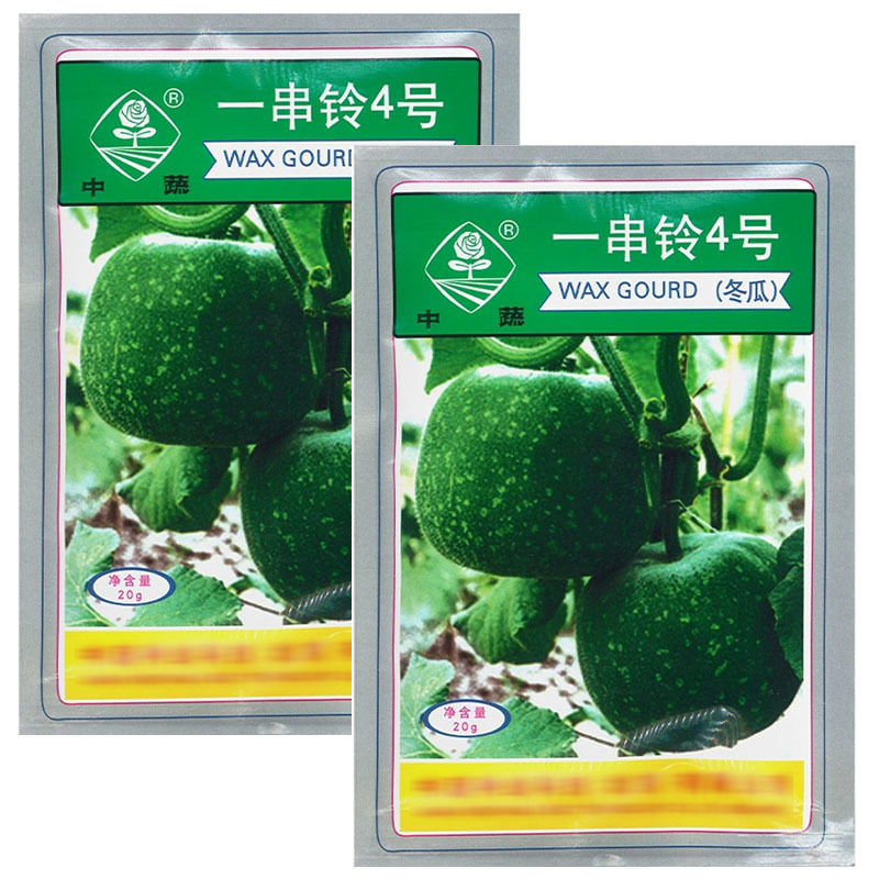 一串铃4号冬瓜种子春播早熟高桩节间短有有白粉小冬瓜籽
