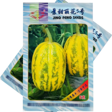 景甜丽花5号绿宝石甜瓜种子香瓜大果薄皮绿肉瓜果
