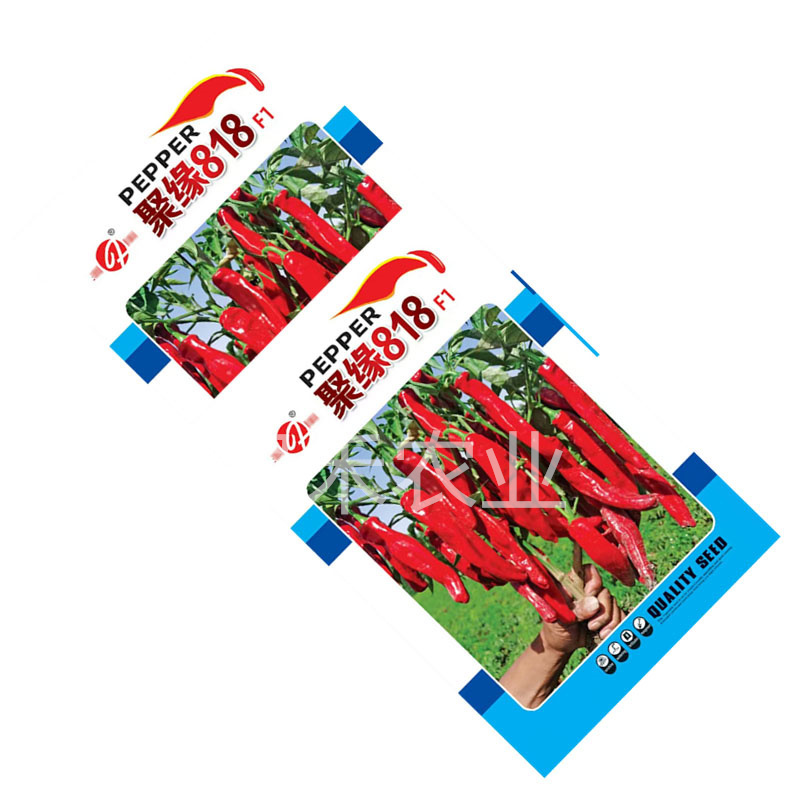 聚缘818辣椒种子中熟羊角形株型紧凑干鲜两用基地品种