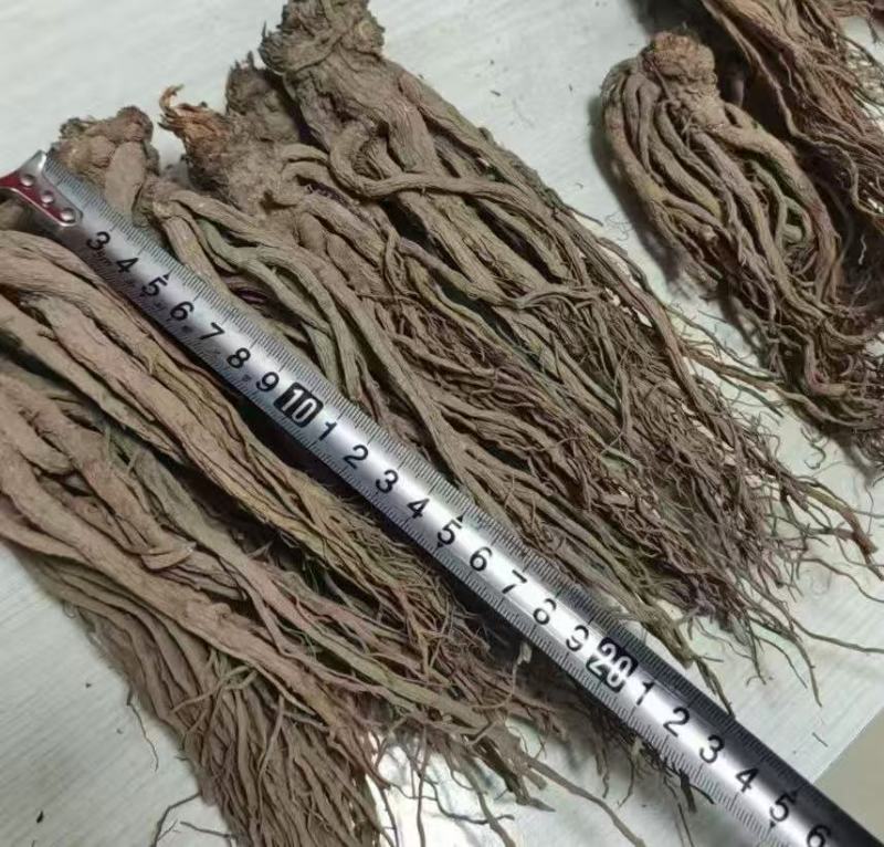 甘肃岷县原产地当归，产地直发，量大价优，货发全国
