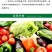 京博品高尚抗逆生根解药害多肽氨基酸叶面肥意大利赛格