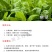 报喜康微量元素水溶肥料叶面肥抑制烟草番茄黄瓜花生青枯