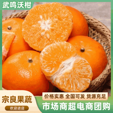 精品沃柑广西发货对接电商出口品质有保证协助装车发货进店联系