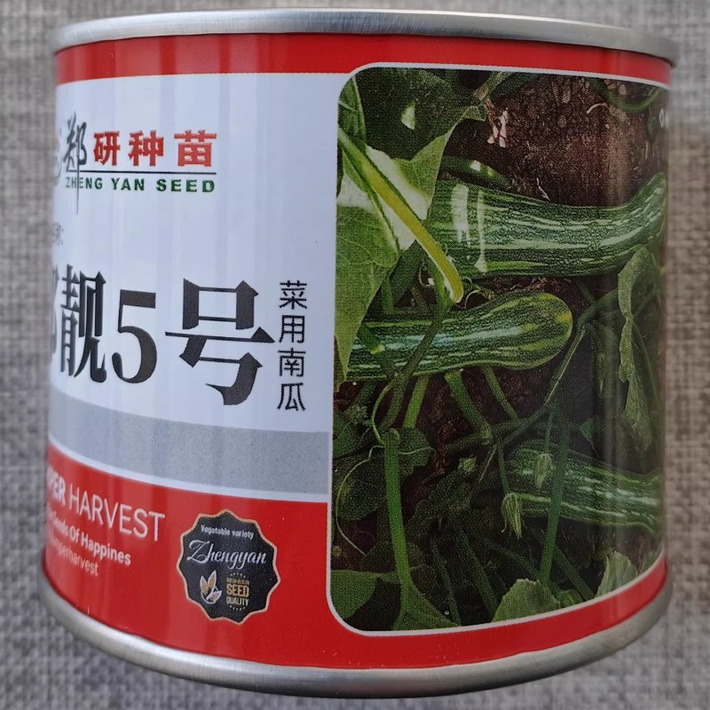 郑靓5号菜用南瓜种子早熟高产春秋菜南瓜种籽花皮长圆条形