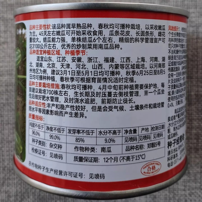 郑靓5号菜用南瓜种子早熟高产春秋菜南瓜种籽花皮长圆条形