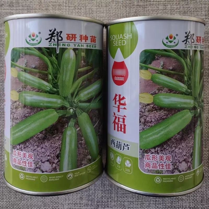 华福西葫芦种子翠绿油亮高产笋瓜种籽长势快瓜形美观耐高温