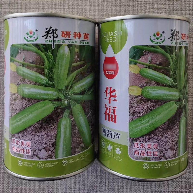 华福西葫芦种子翠绿油亮高产笋瓜种籽长势快瓜形美观耐高温