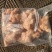 精品鸡翅根翅根厂家直发保质保量全国发货量大价优