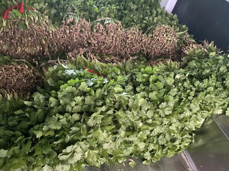 江苏东台香菜大叶香菜新鲜现货量大从优实力代发全国
