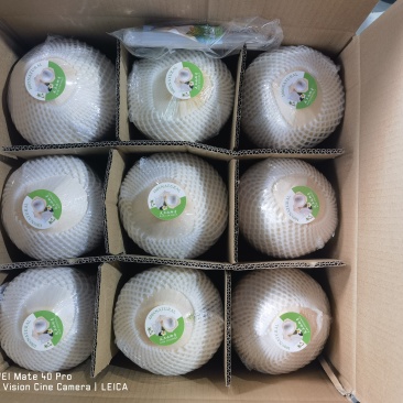 海南削皮椰青，对接全国，电商市场档口，可议价，量大优惠
