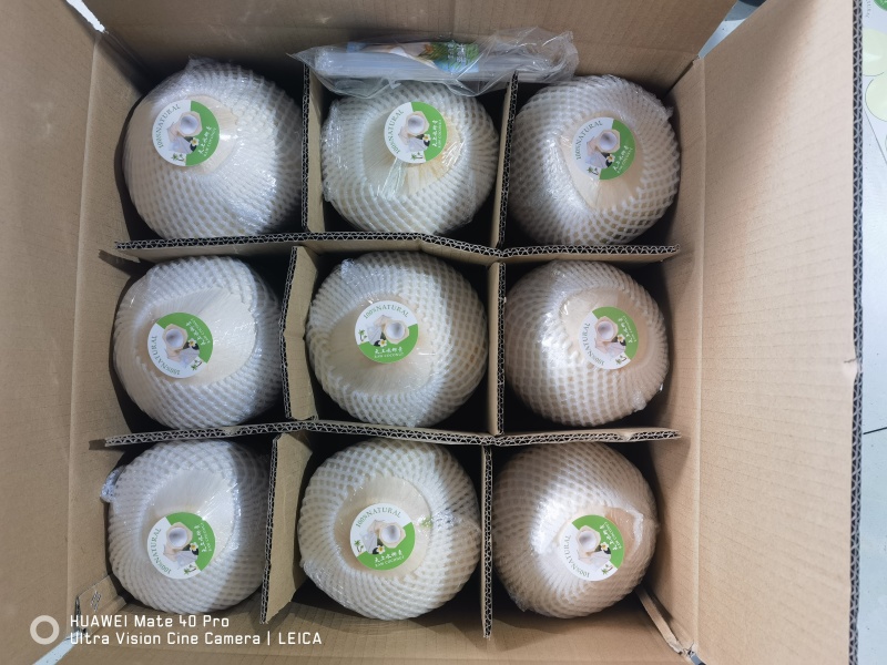 海南削皮椰青，对接全国，电商市场档口，可议价，量大优惠