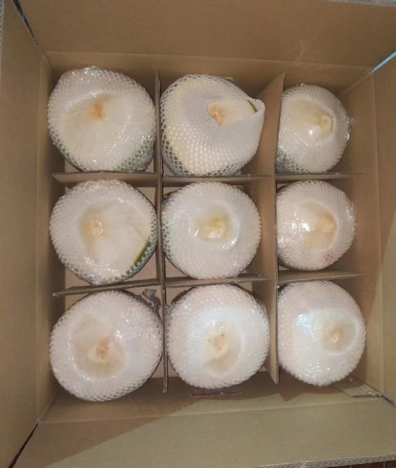 海南削皮椰青，对接全国，电商市场档口，可议价，量大优惠