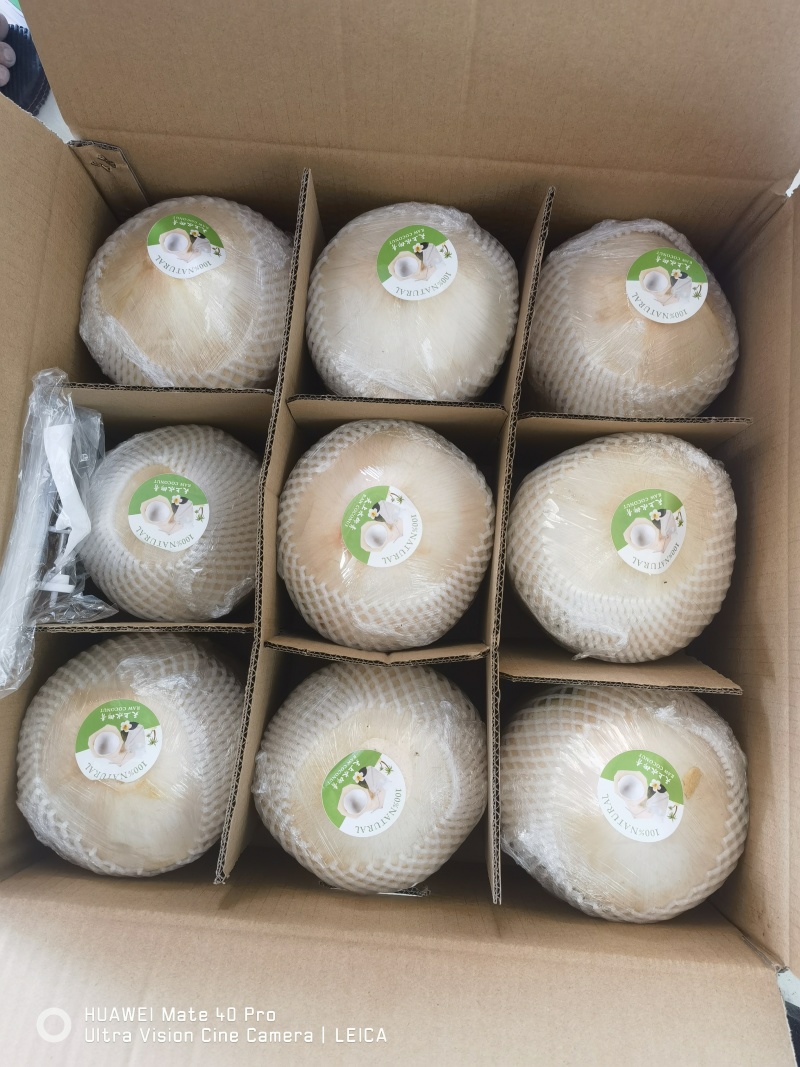 海南削皮椰青，对接全国，电商市场档口，可议价，量大优惠