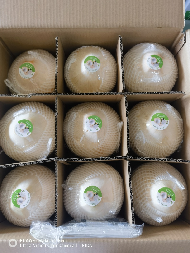 海南削皮椰青，对接全国，电商市场档口，可议价，量大优惠