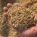唐山胭脂稻谷产地直供大量有货质量保证可视频看货全国发货